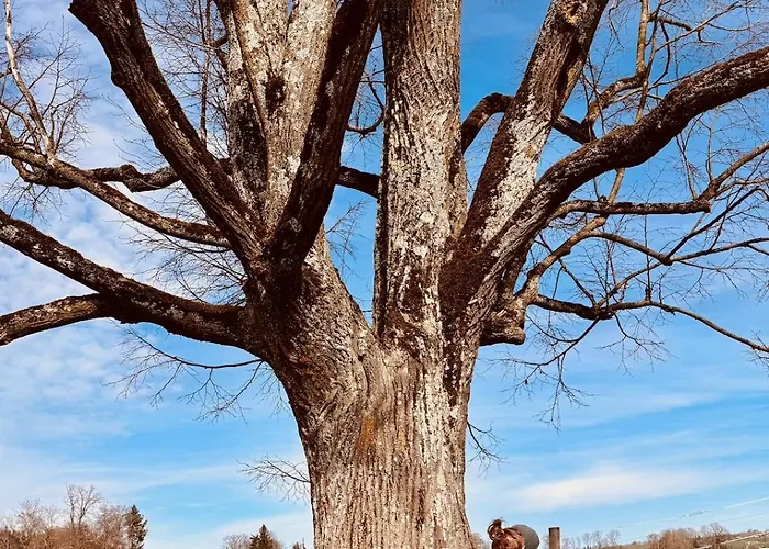 בית נופש Spycher Im Emmental *