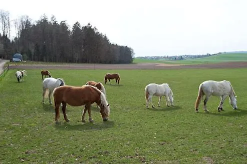 בית נופש Spycher Im Emmental
