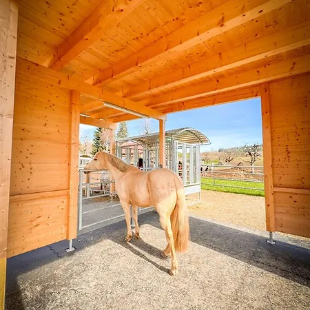 Nyaraló Spycher Im Emmental Lützelflüh
