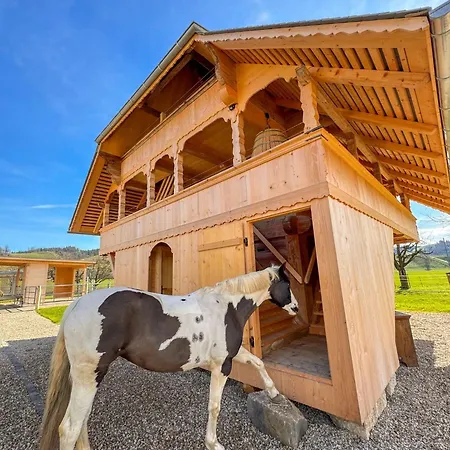 度假居 Spycher Im Emmental *