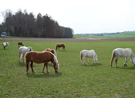 度假居 Spycher Im Emmental